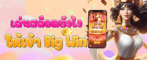 โปรโมชั่น VIP promotion image